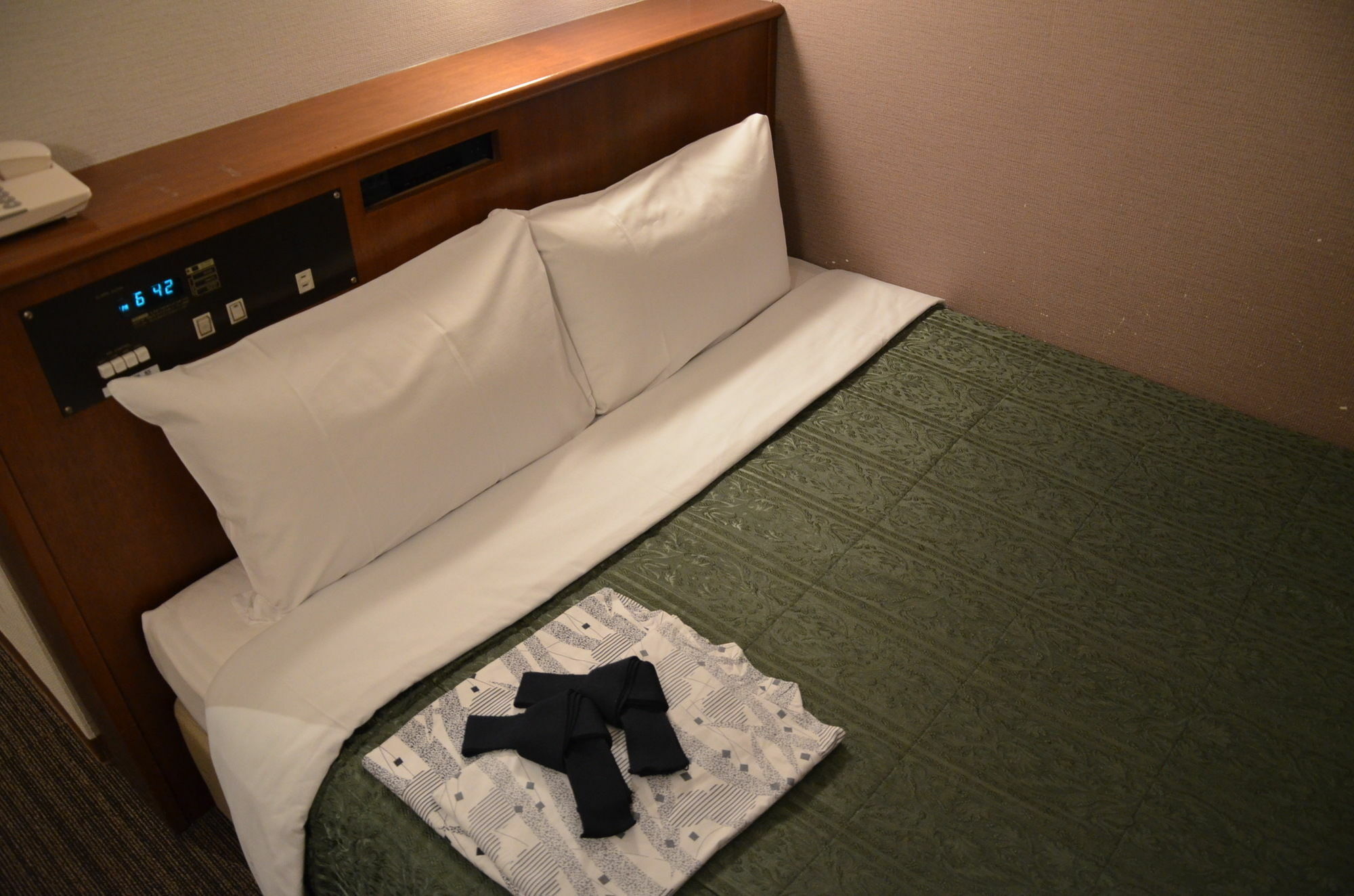 Hikone Biwako Hotel Экстерьер фото